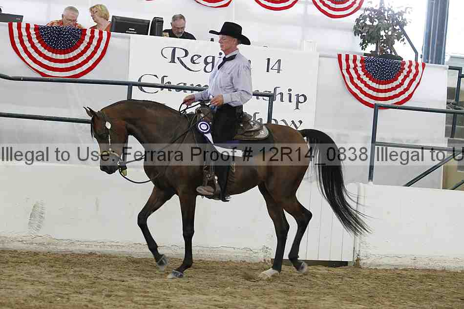 Proof 12r14_0838