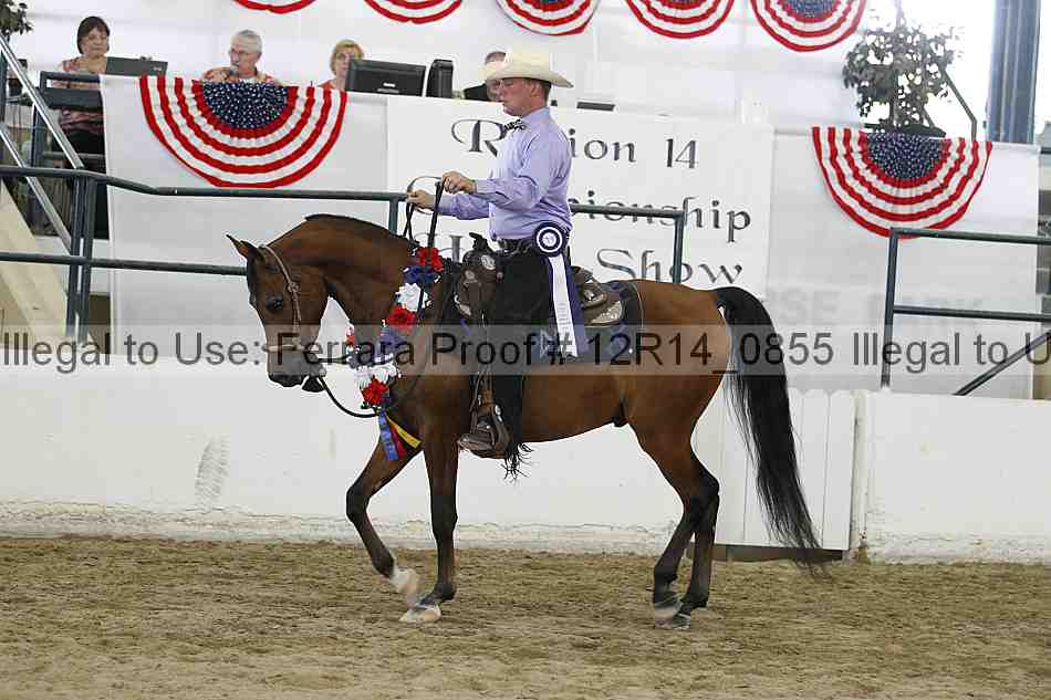 Proof 12r14_0855