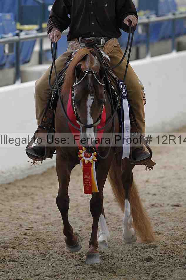 Proof 12r14_0860