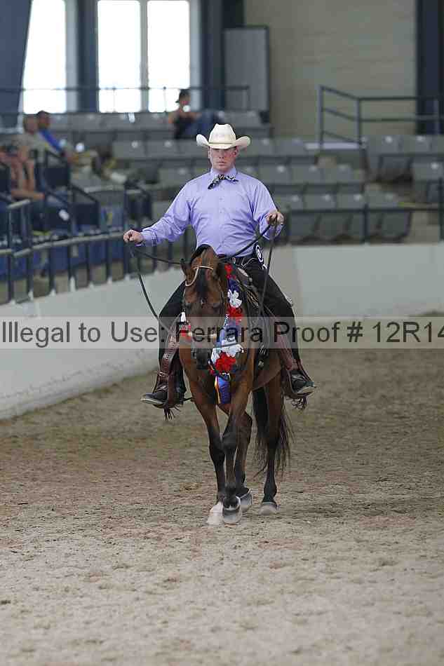 Proof 12r14_0862
