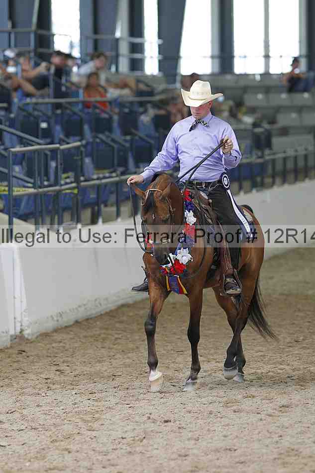 Proof 12r14_0863