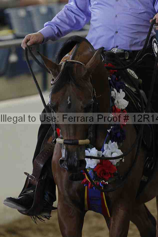 Proof 12r14_0865