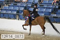 12r14_0873 proof