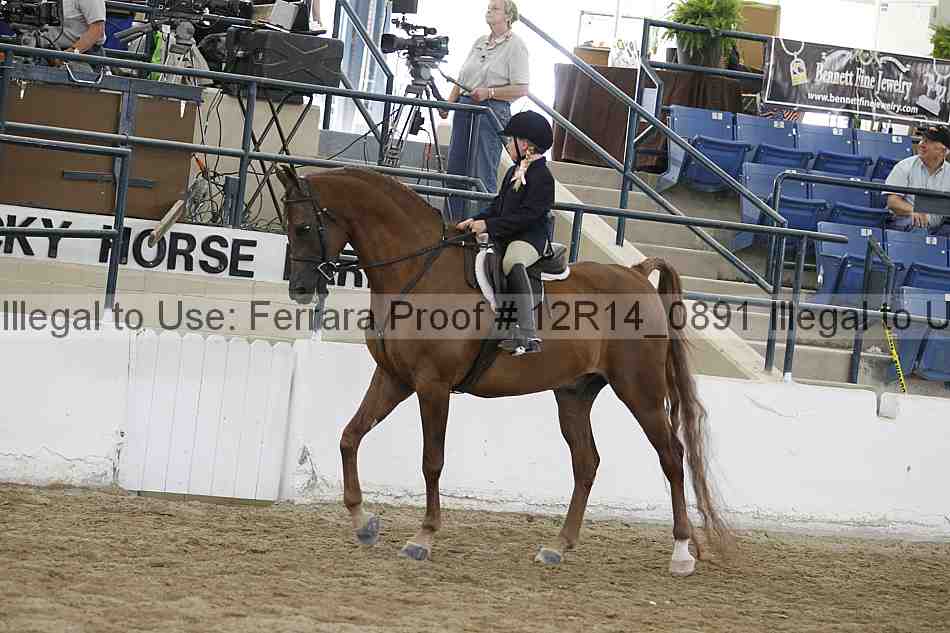 Proof 12r14_0891