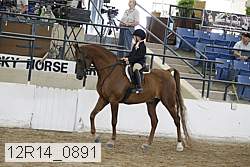 12r14_0891 proof