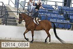 12r14_0894 proof