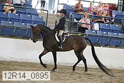 12r14_0895 proof