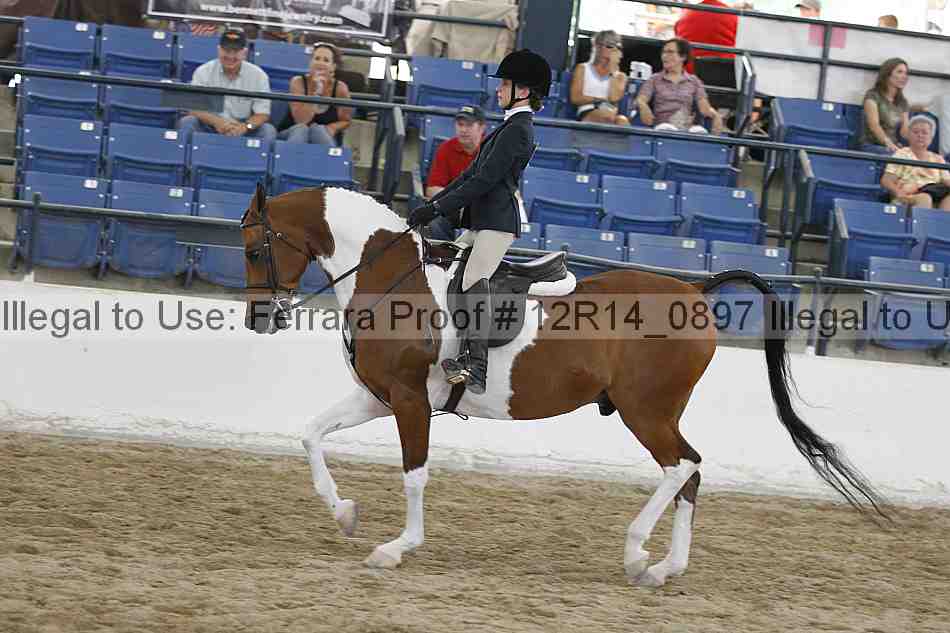 Proof 12r14_0897