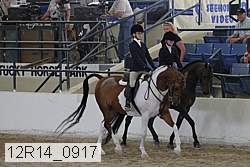 12r14_0917 proof