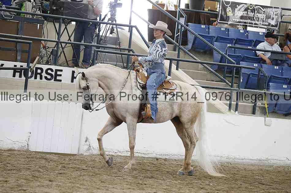 Proof 12r14_0976