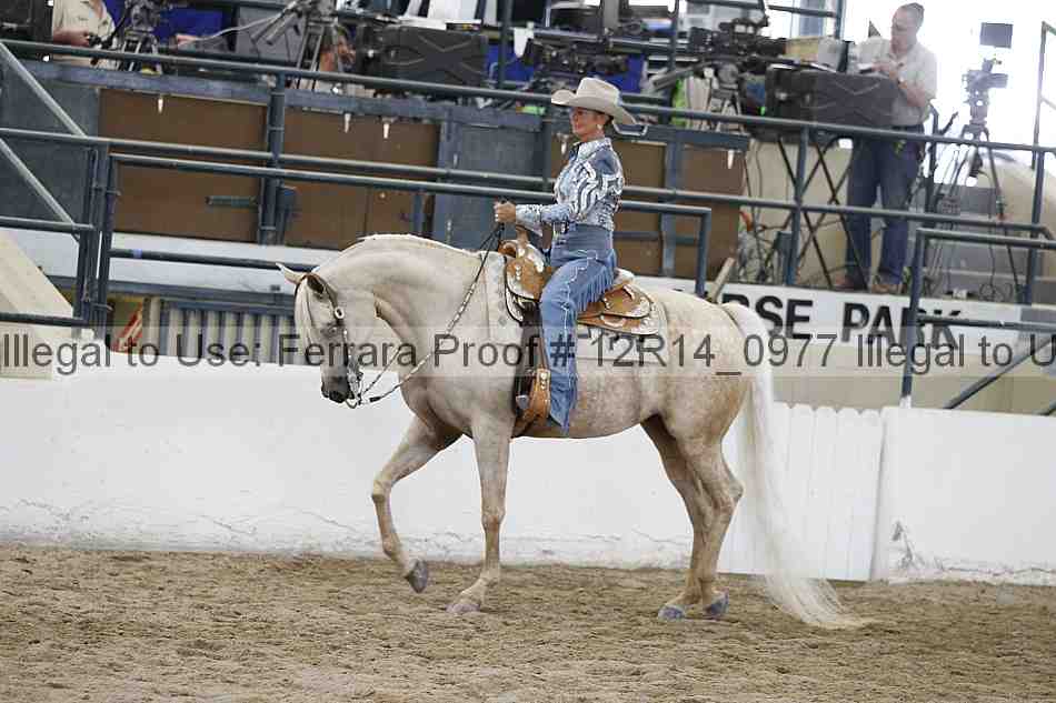 Proof 12r14_0977