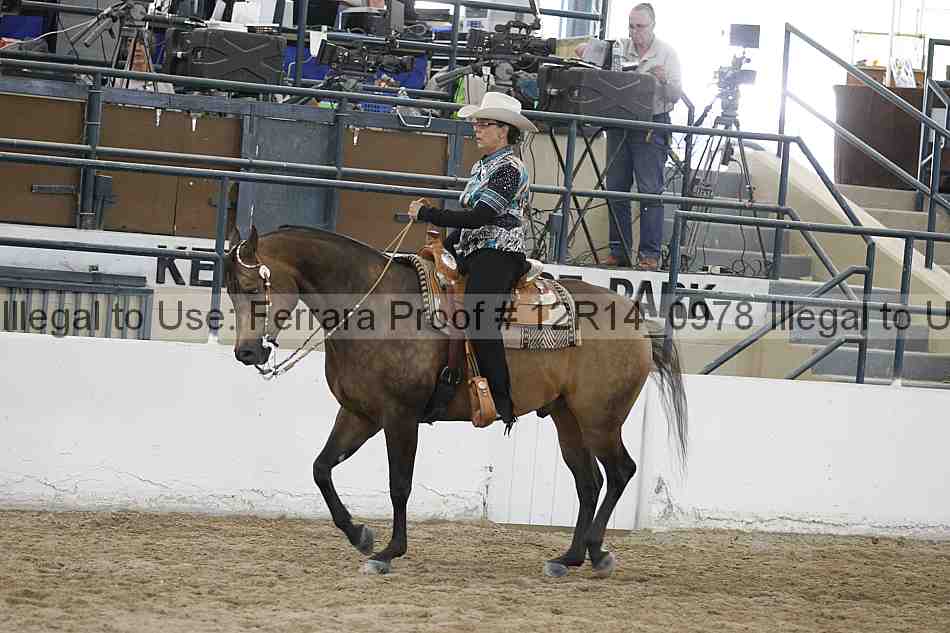 Proof 12r14_0978