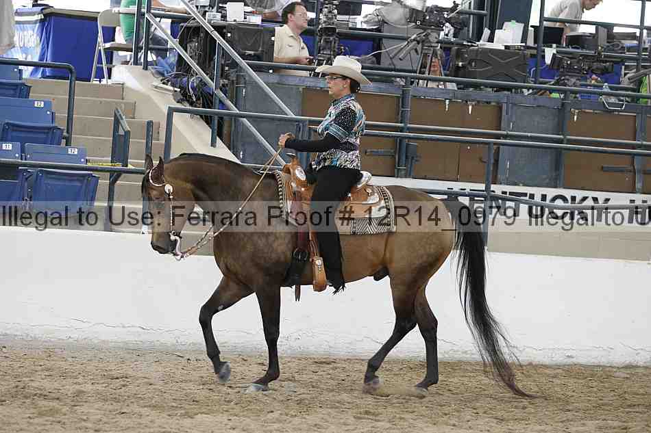 Proof 12r14_0979
