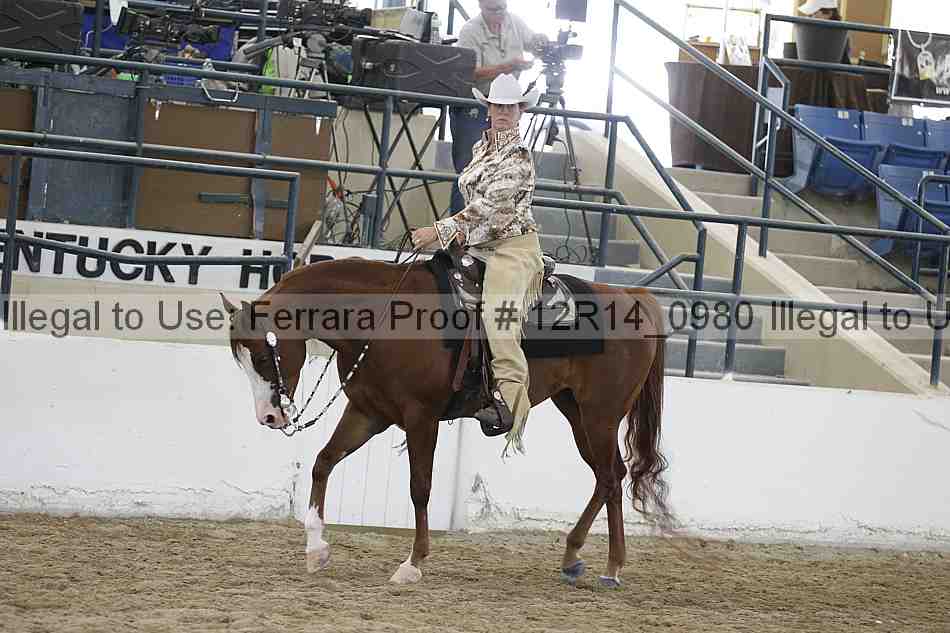 Proof 12r14_0980