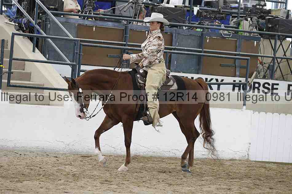 Proof 12r14_0981