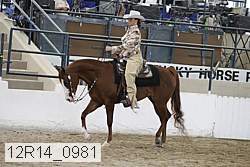 12r14_0981 proof