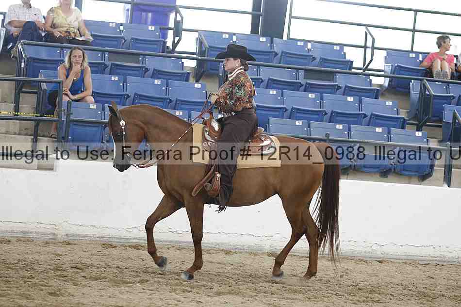 Proof 12r14_0988