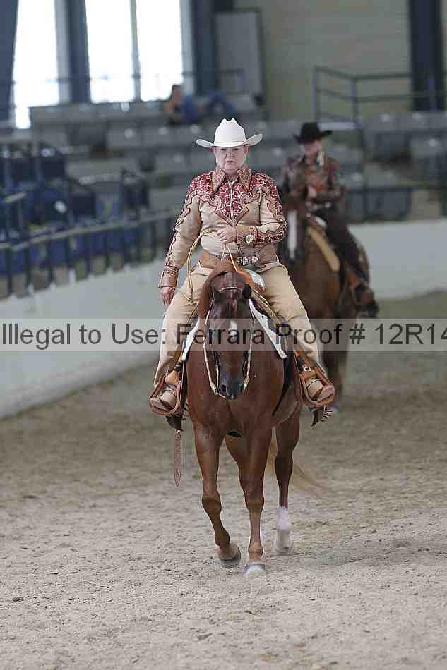 Proof 12r14_0995