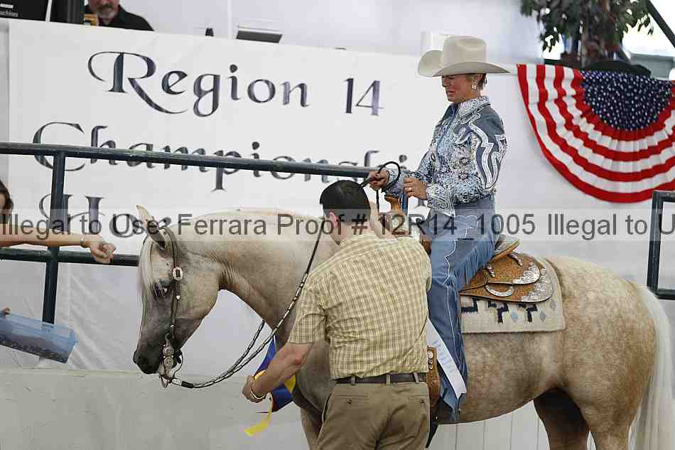 Proof 12r14_1005