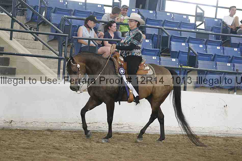 Proof 12r14_1013
