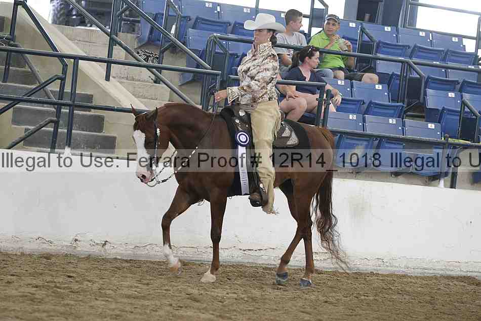 Proof 12r14_1018