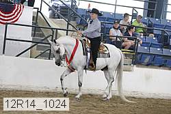 12r14_1024 proof