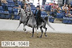 12r14_1048 proof