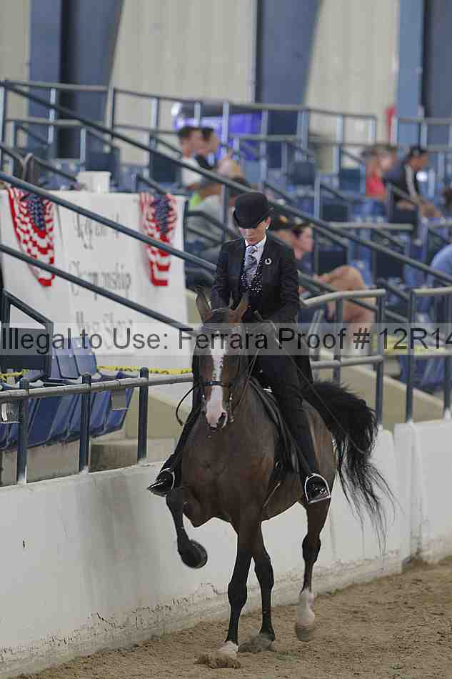 Proof 12r14_1065