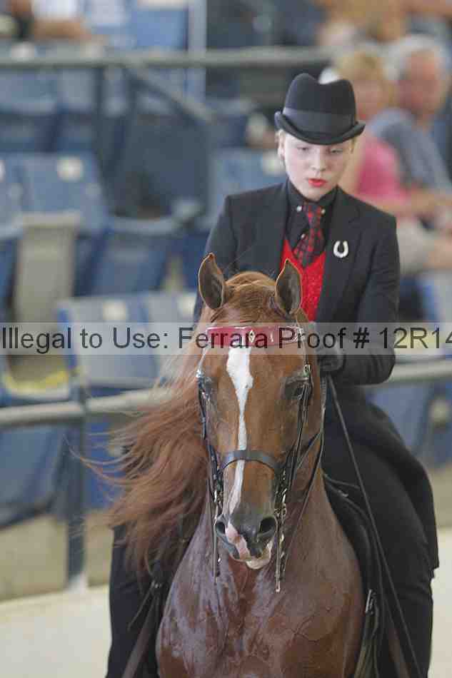 Proof 12r14_1069