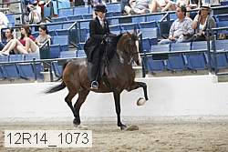 12r14_1073 proof