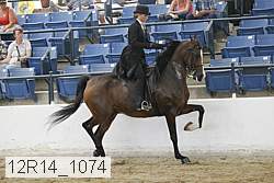 12r14_1074 proof