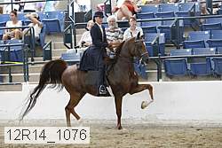 12r14_1076 proof