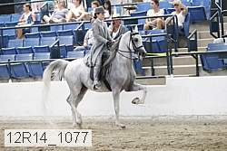 12r14_1077 proof