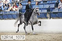 12r14_1079 proof