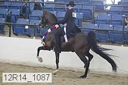12r14_1087 proof