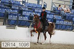 12r14_1096 proof