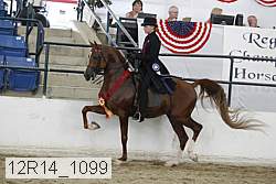 12r14_1099 proof