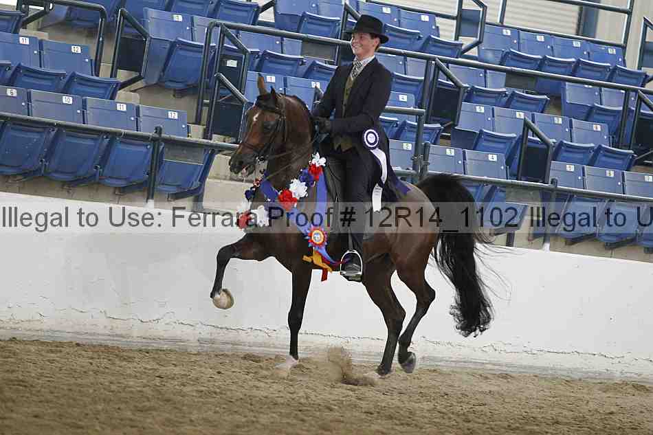 Proof 12r14_1102
