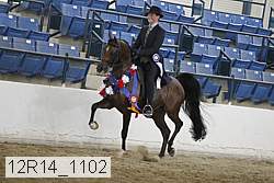 12r14_1102 proof