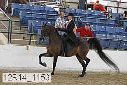 12r14_1153 proof