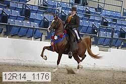 12r14_1176 proof