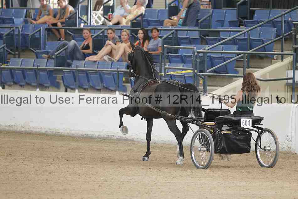 Proof 12r14_1195