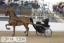12r14_1204 proof