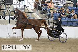 12r14_1208 proof