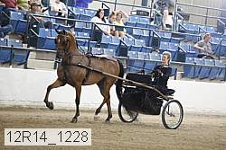 12r14_1228 proof