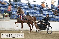 12r14_1244 proof