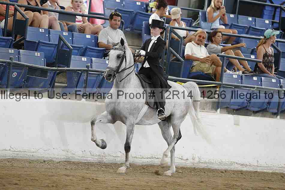 Proof 12r14_1256