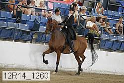 12r14_1260 proof