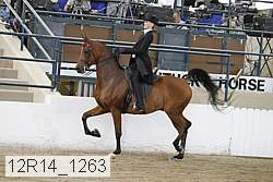 12r14_1263 proof