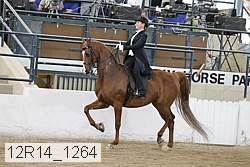 12r14_1264 proof